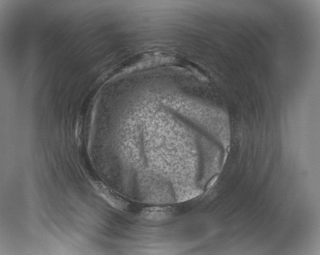 X0000080810082200701021327