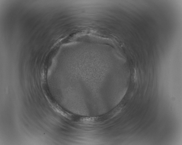 X0000080810084200701021327