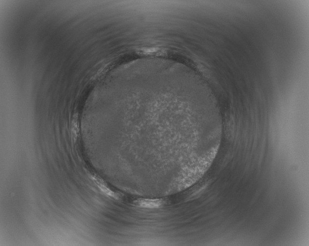 X0000080810085200701021327