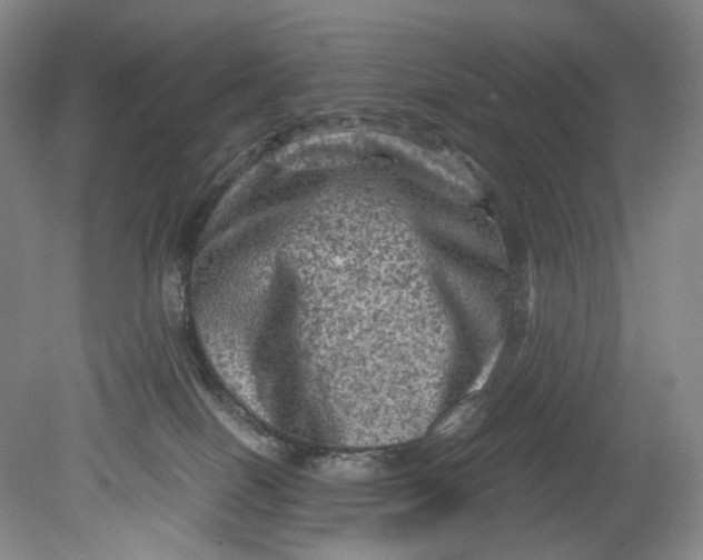 X0000080810086200701021327