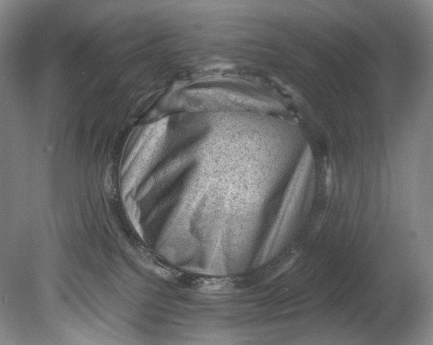 X0000080810088200701021327