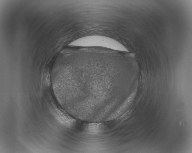 X0000080810090200701021327