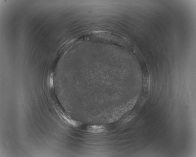 X0000080810095200701021327