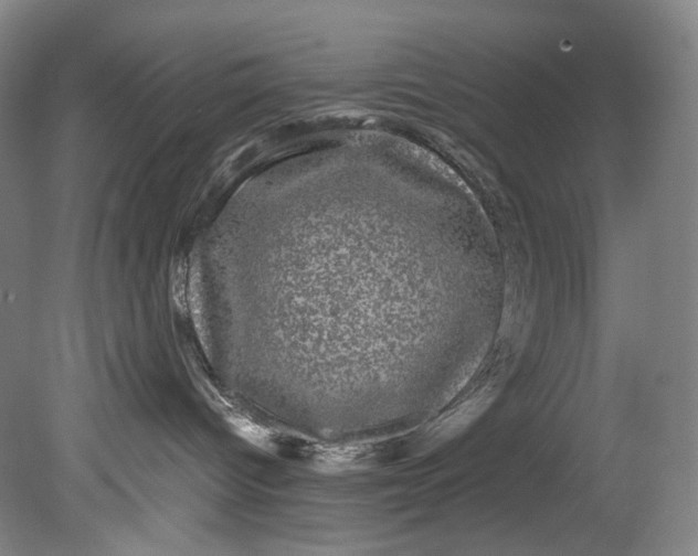 X0000080810096200701021327