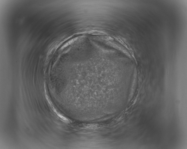 X0000080810097200701021326