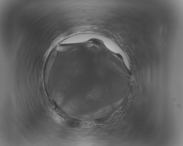 X0000080810099200701021326