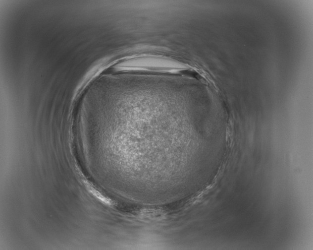 X0000080810101200701021326