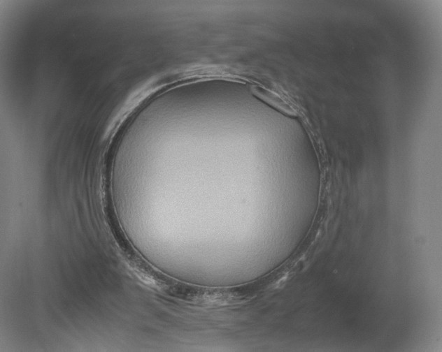 X0000080810103200701021326