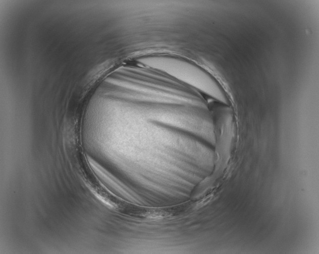 X0000080810105200701021326