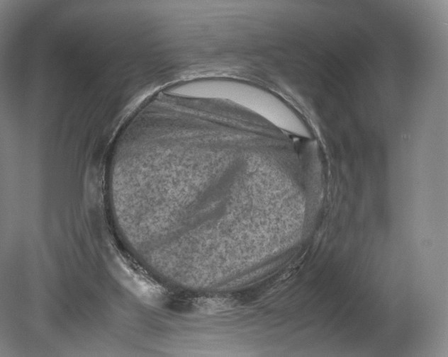 X0000080810107200701021326