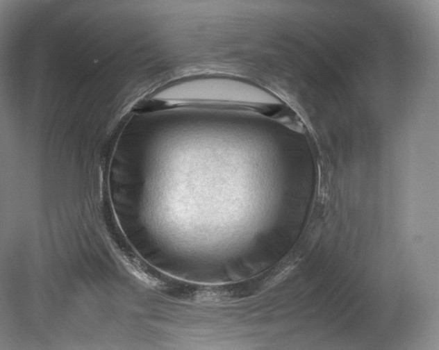 X0000080810109200701021326