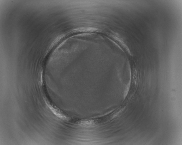 X0000080810110200701021326