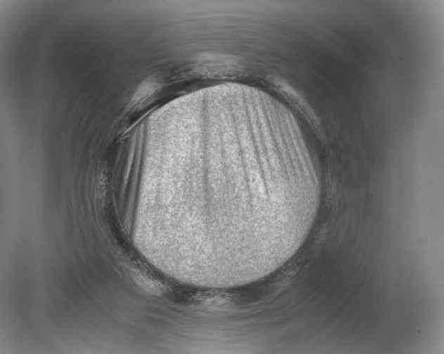 X0000080810113200701021326