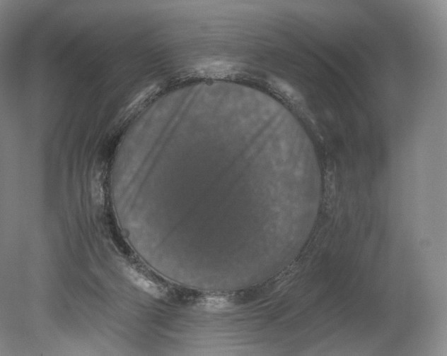 X0000080810114200701021326