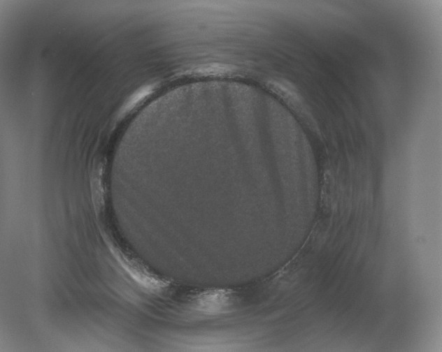 X0000080810116200701021326