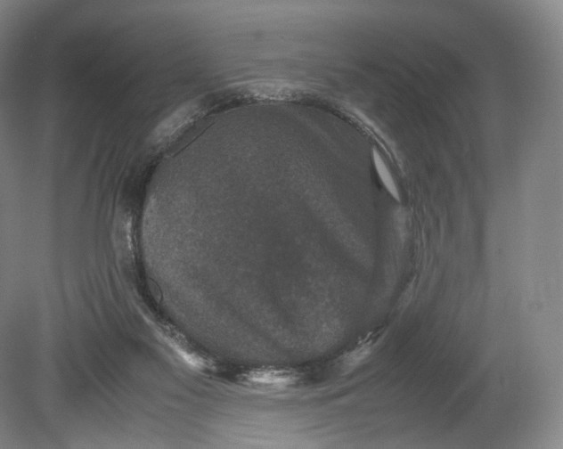 X0000080810117200701021326