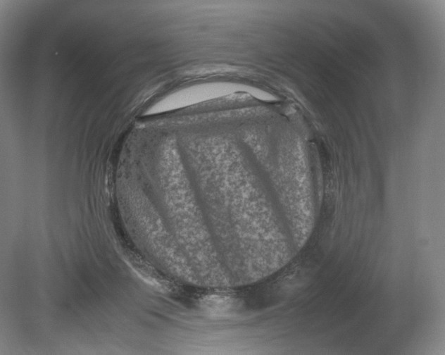 X0000080810119200701021326