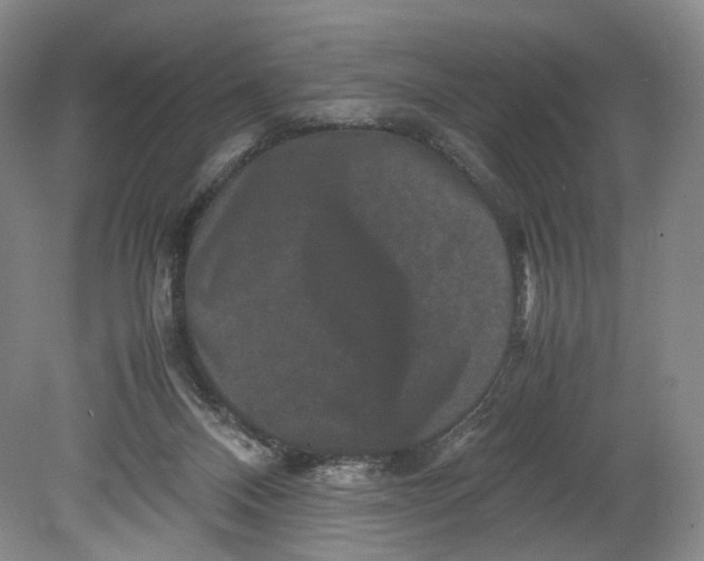 X0000080810120200701021326