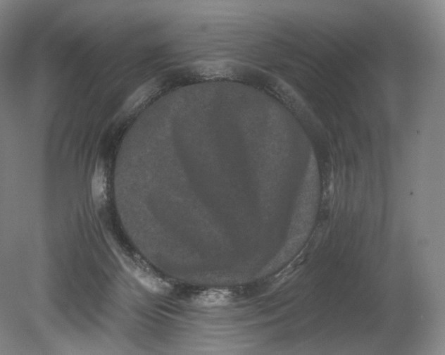 X0000080810124200701021326