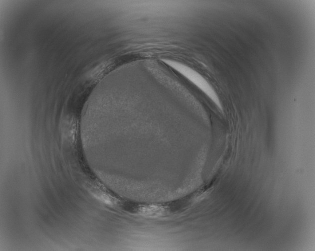 X0000080810125200701021326