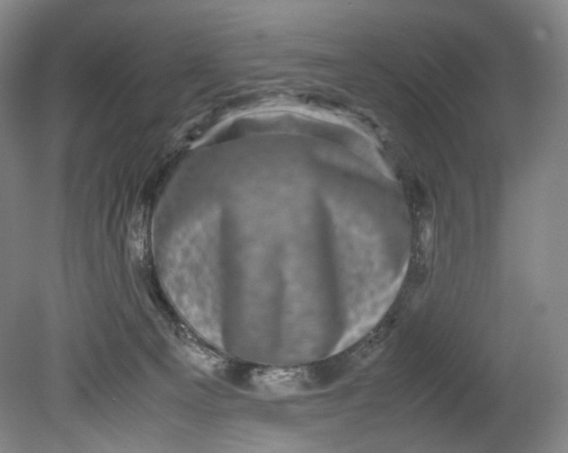 X0000080810129200701021325