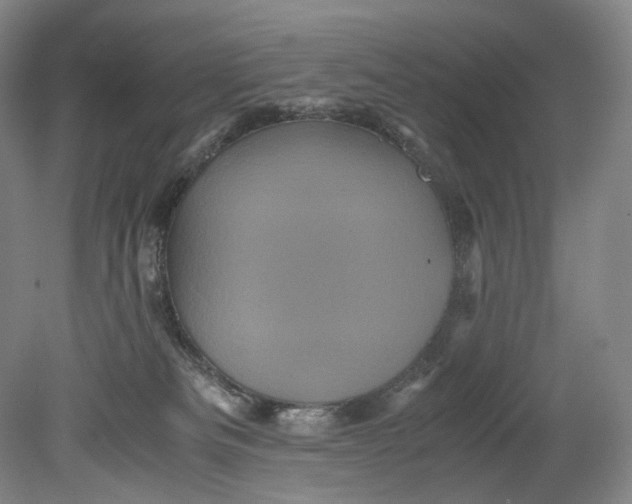 X0000080810133200701021325