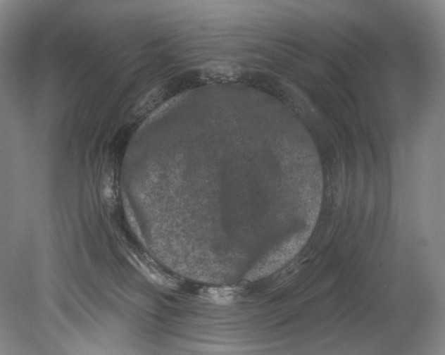 X0000080810134200701021325