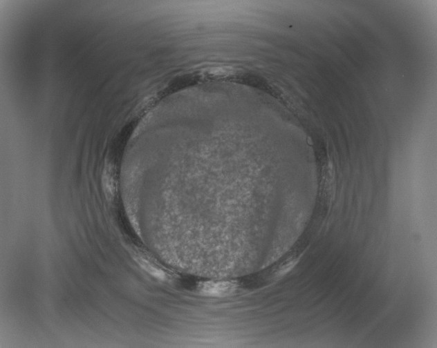 X0000080810135200701021325