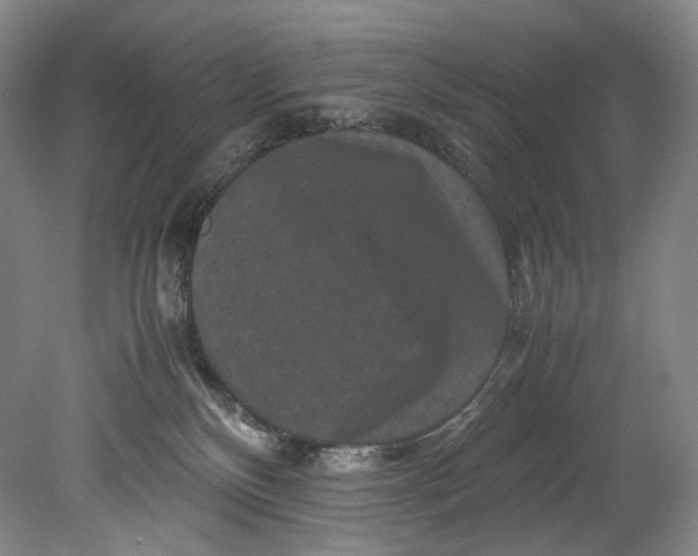 X0000080810136200701021325