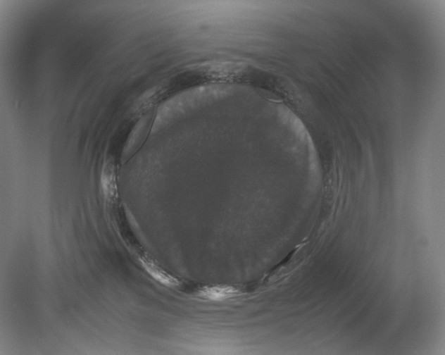 X0000080810137200701021325