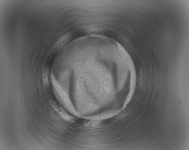 X0000080810138200701021325