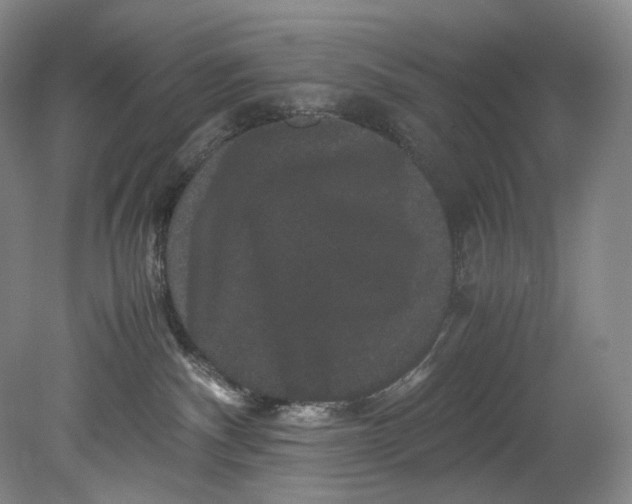 X0000080810140200701021325