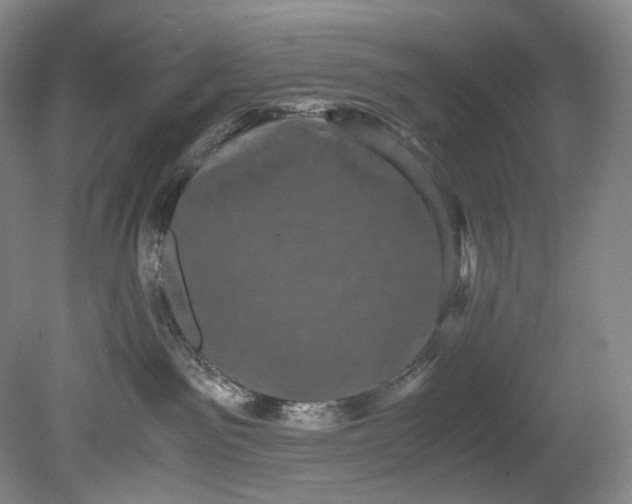 X0000080810141200701021325