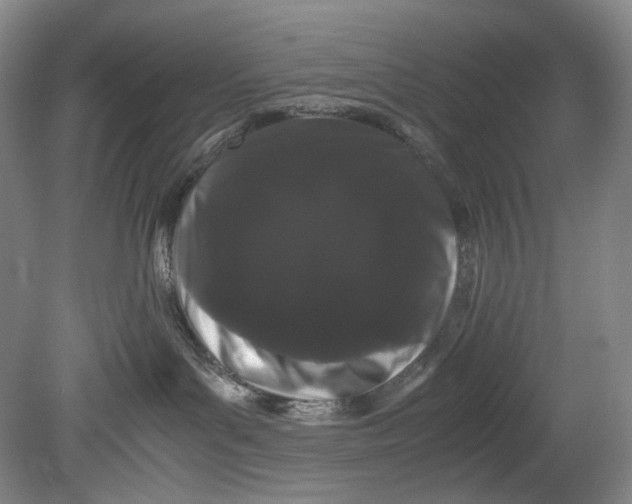 X0000080810143200701021325