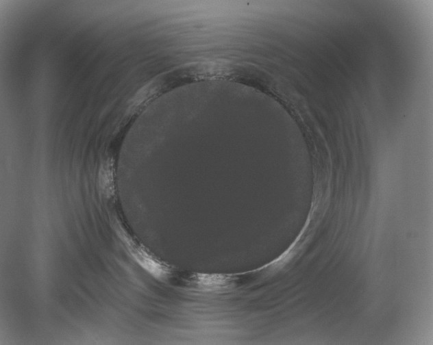 X0000080810144200701021325