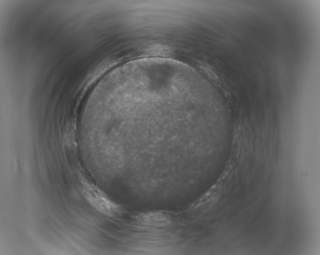 X0000080810146200701021324