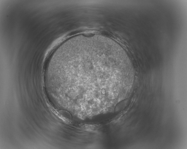 X0000080810149200701021324