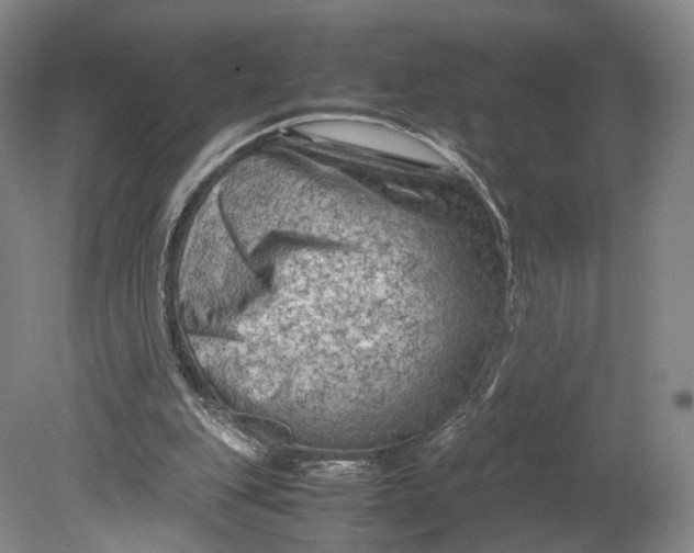 X0000080810151200701021325