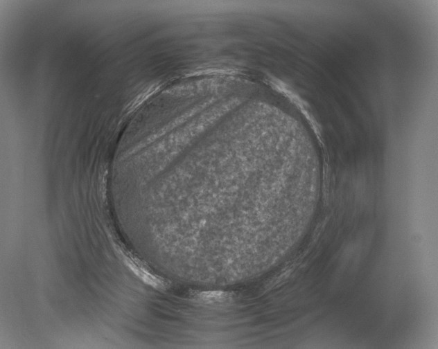 X0000080810153200701021325