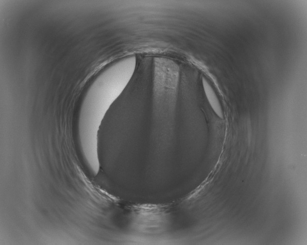 X0000080810154200701021325