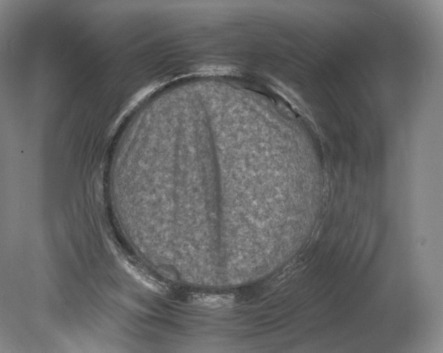 X0000080810155200701021325