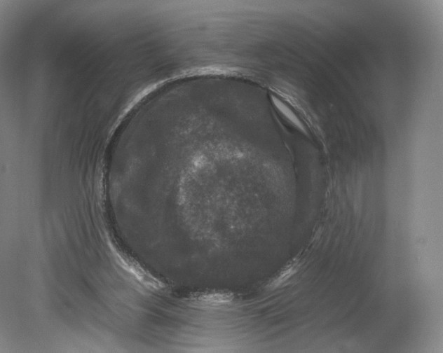 X0000080810156200701021325