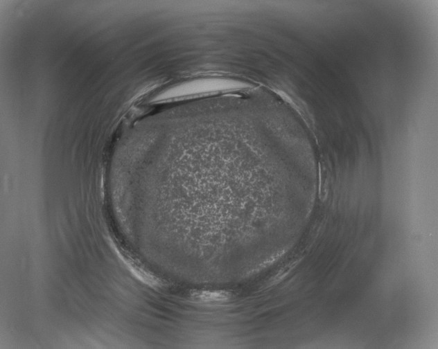 X0000080810157200701021325