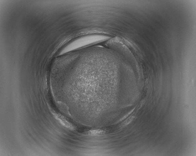 X0000080810158200701021325