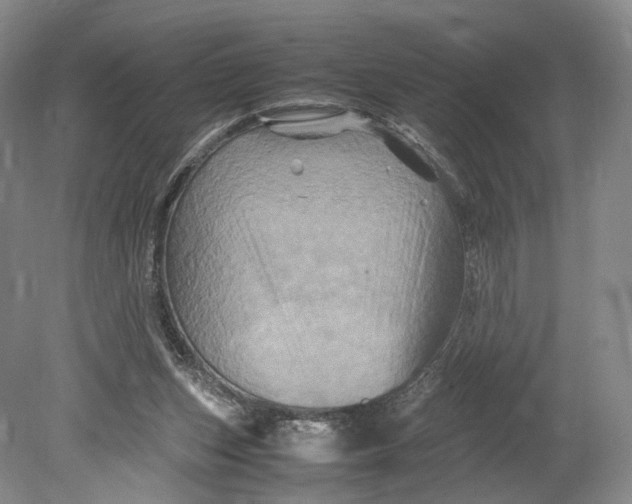 X0000080810159200701021325