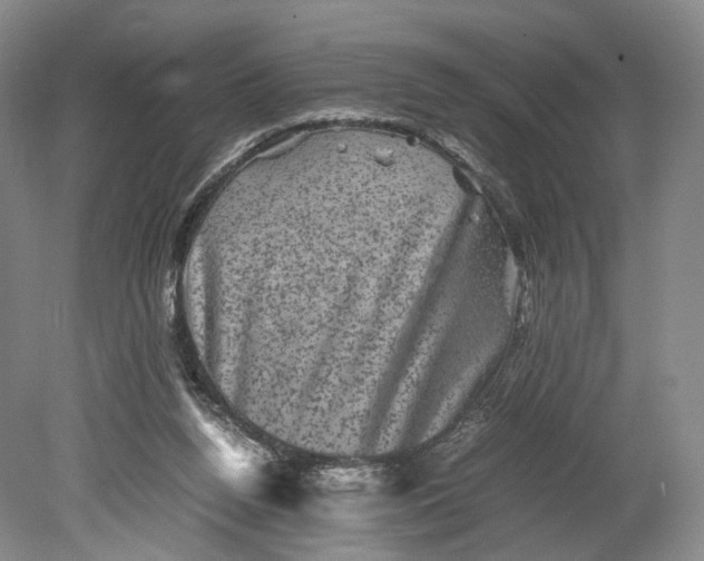 X0000080810160200701021325