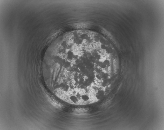 X0000080810161200701021325