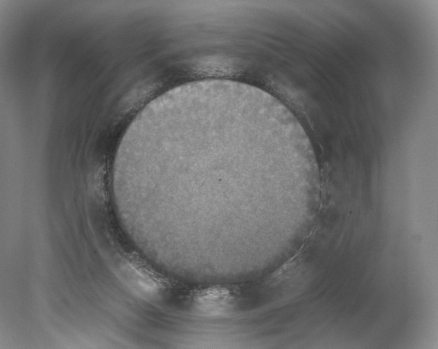 X0000080810162200701021325