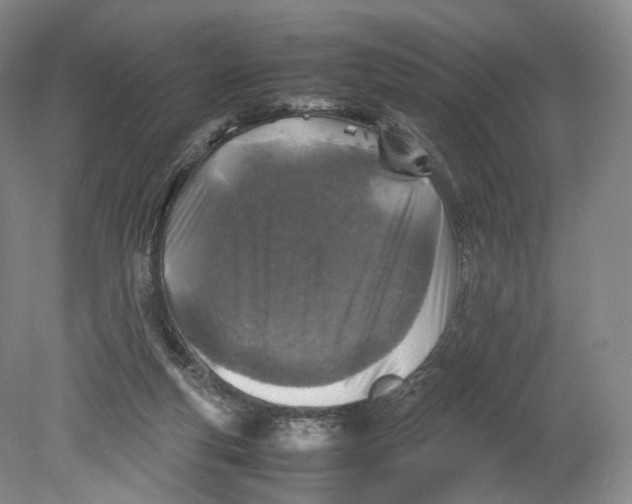 X0000080810163200701021325