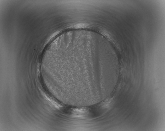 X0000080810164200701021325